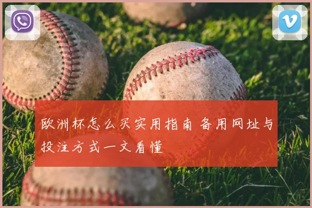 欧洲杯怎么买实用指南 备用网址与投注方式一文看懂