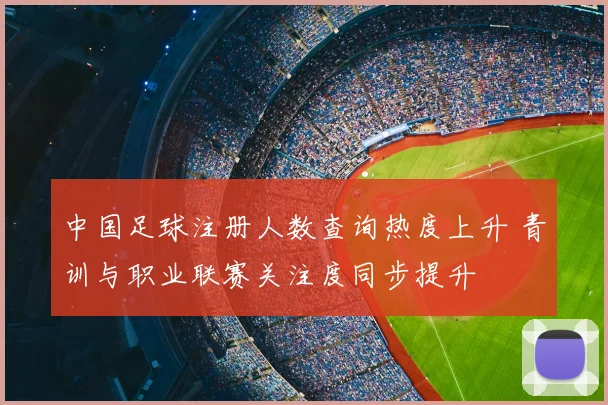 中国足球注册人数查询热度上升 青训与职业联赛关注度同步提升